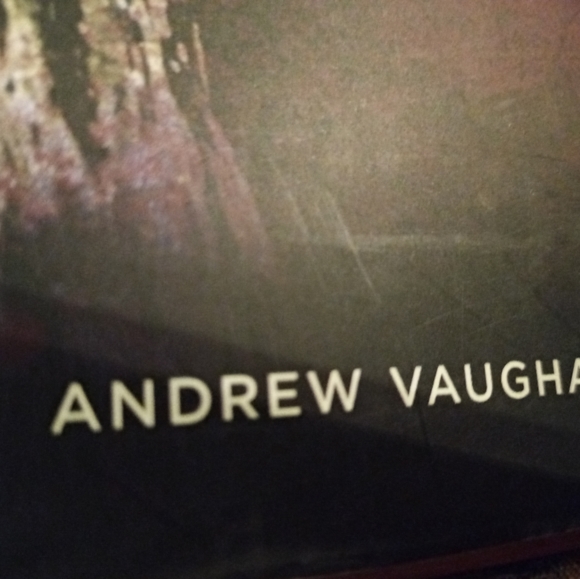 Taylor Swift Hardcover book by Andrew Vaughan - Picture 4 of 8